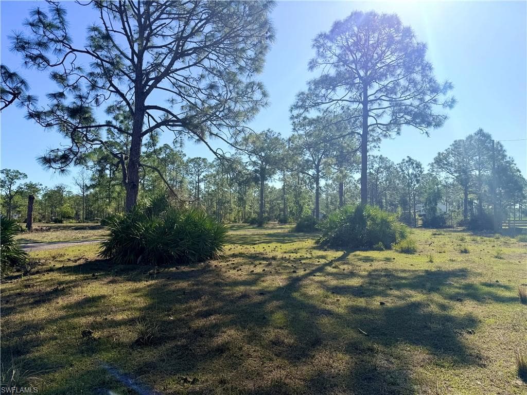 21151 Hidden Woods TRL-5