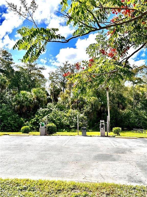 9540 Green Cypress LN 11-39