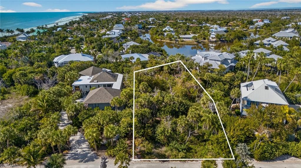 933 Strangler Fig LN-13
