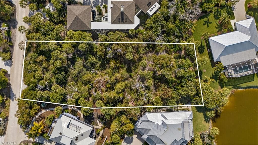 933 Strangler Fig LN-15