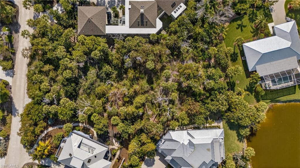 933 Strangler Fig LN-8