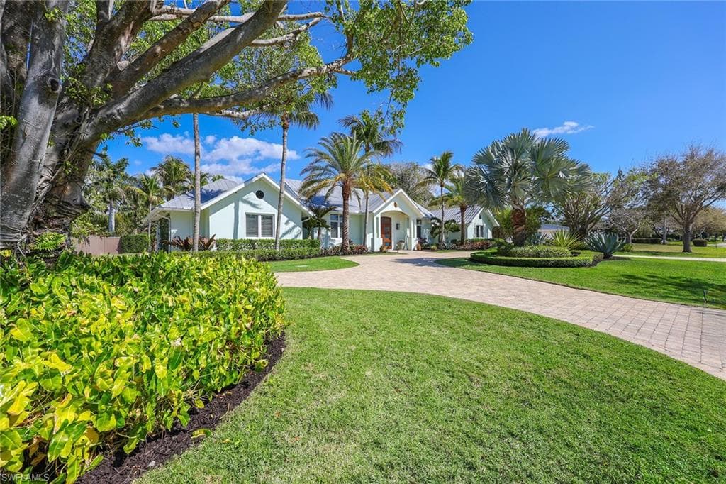 1438 Murex DR-2