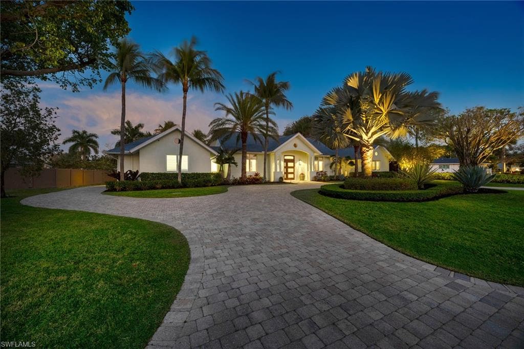 1438 Murex DR-1