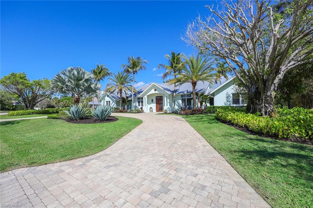 1438 Murex DR-8