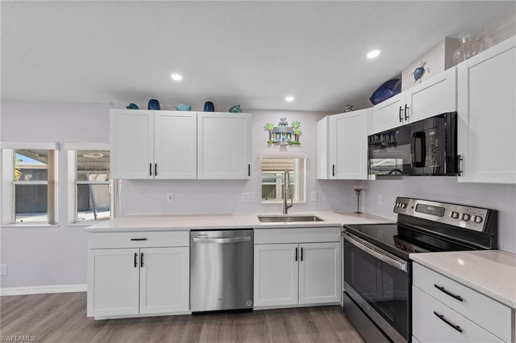 11791 Papershell DR-5