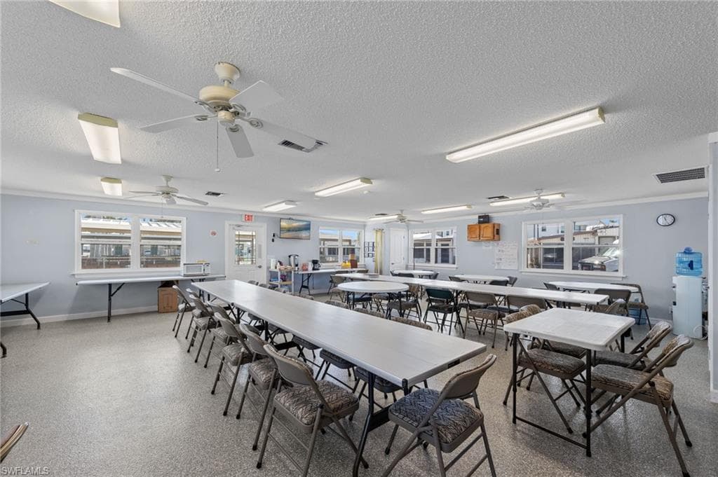 11791 Papershell DR-30