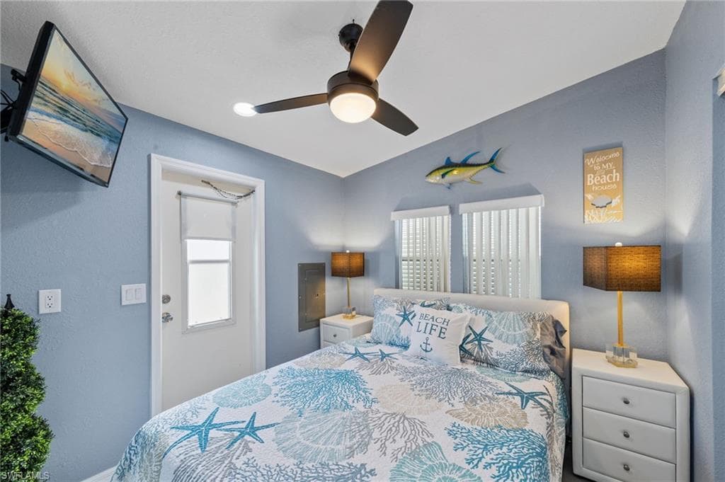11791 Papershell DR-18