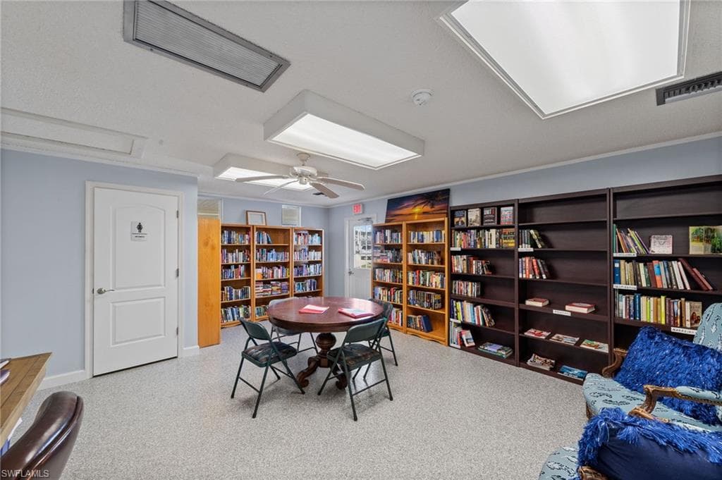 11791 Papershell DR-31