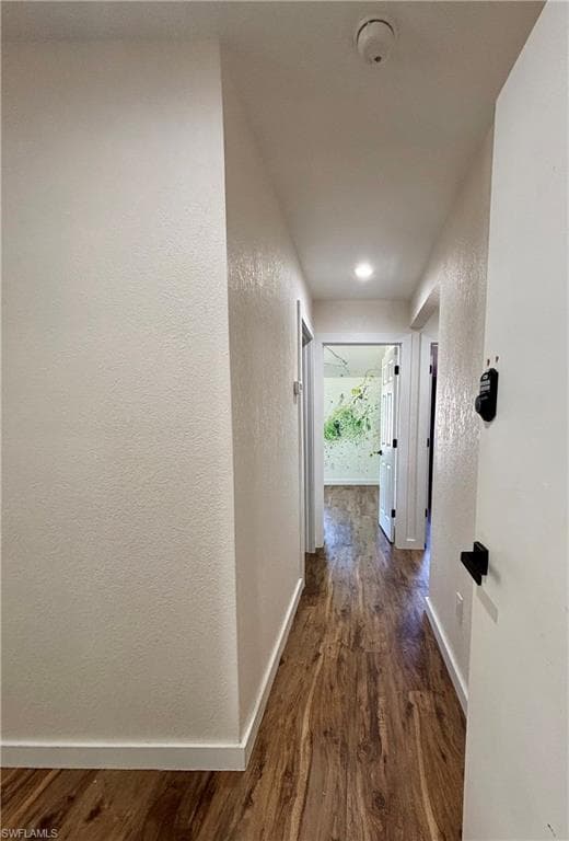 15493 Chloe CIR-6