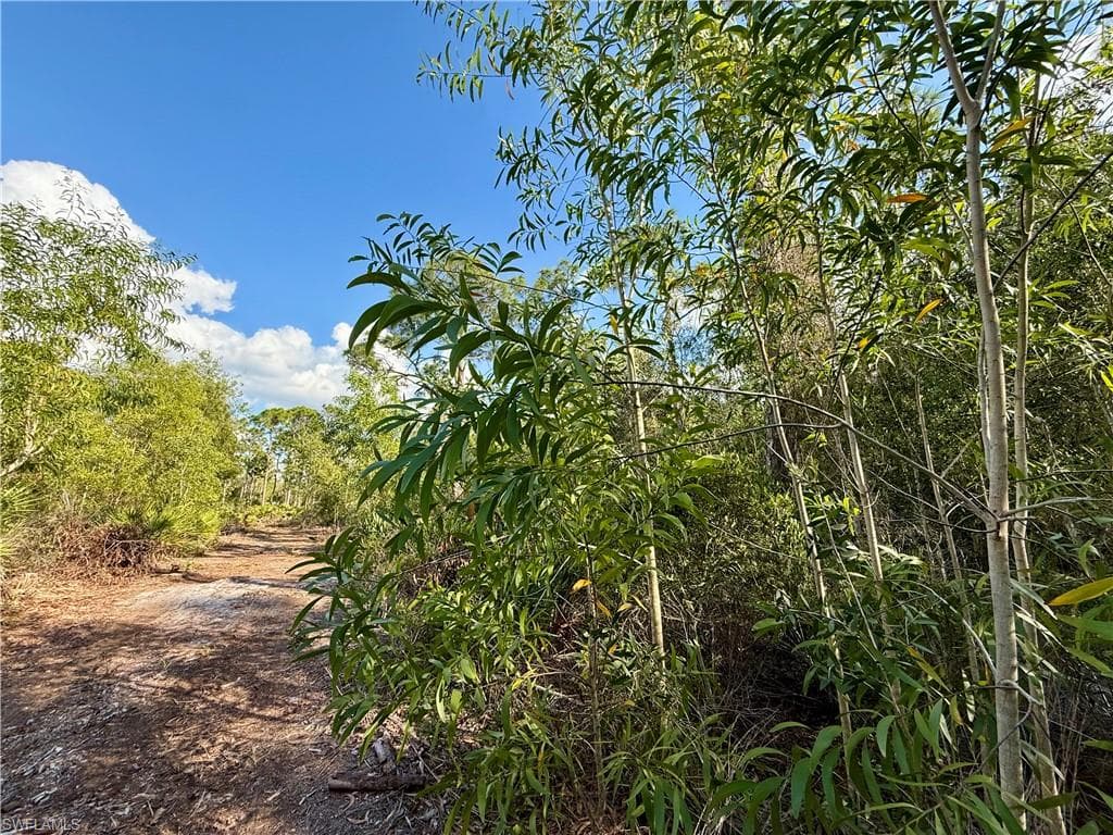7091 Guava AVE-3