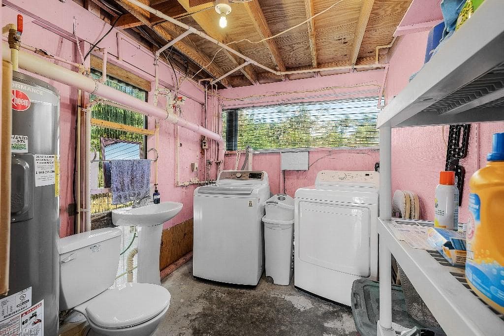 5888 Sea Bass RD-12