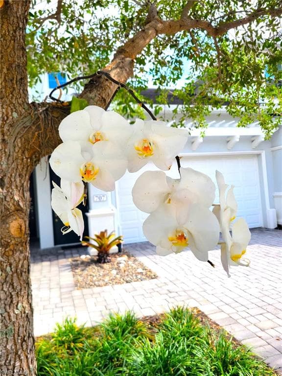 6954 Avalon CIR 703-17