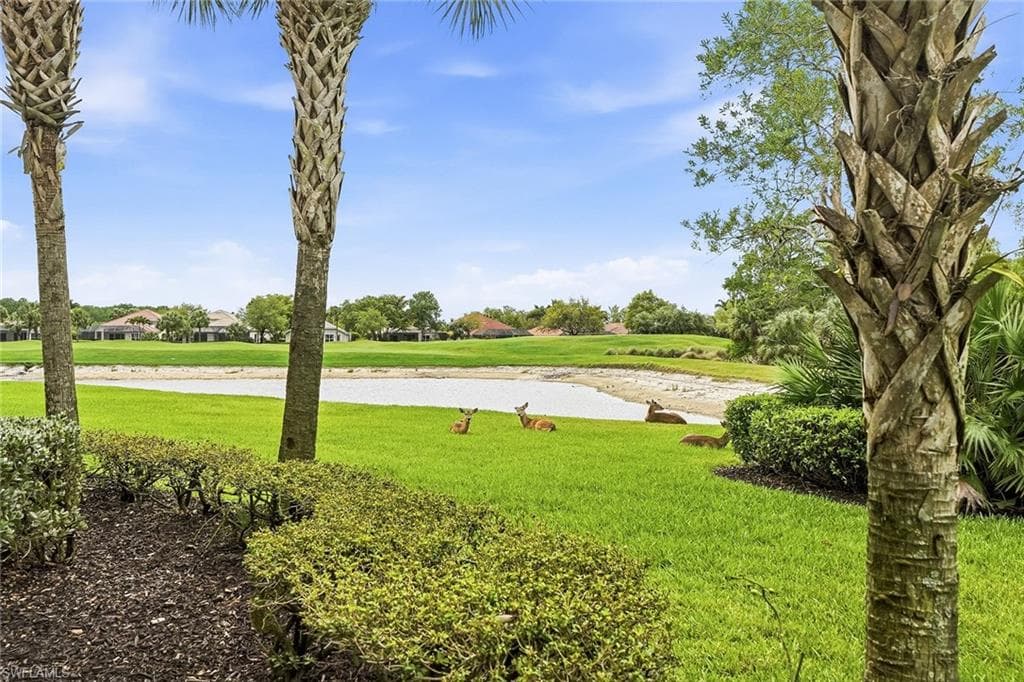 12026 Covent Garden CT 501-31