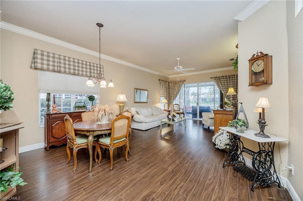 6541 Ilex CIR-9