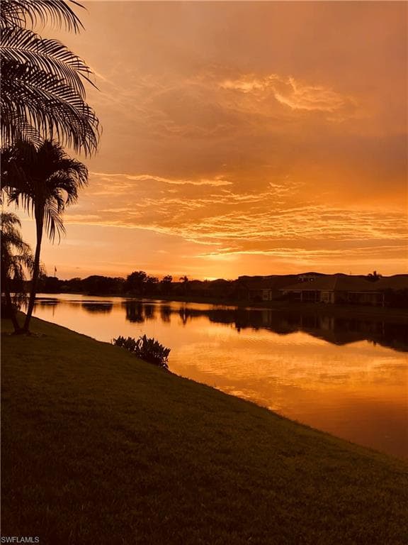 6541 Ilex CIR-34