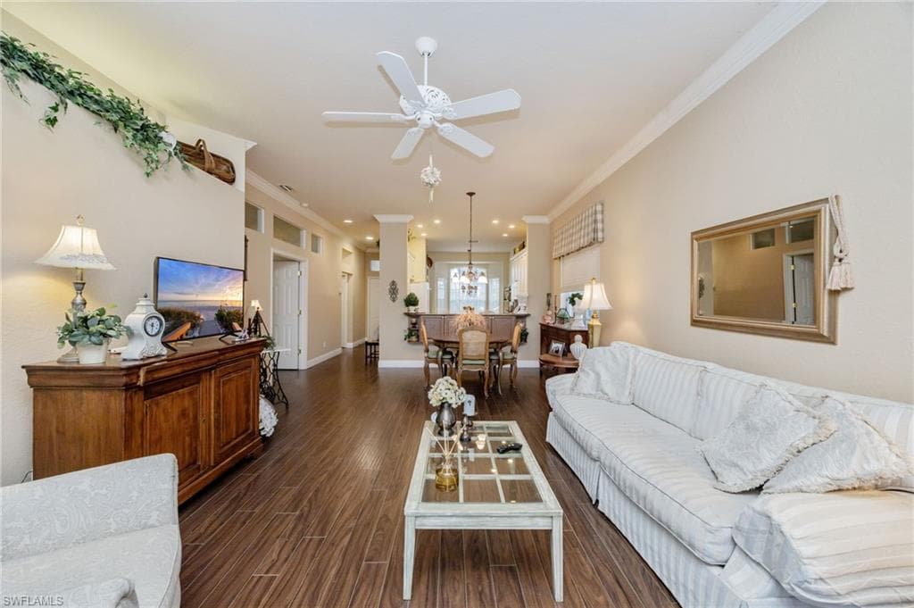6541 Ilex CIR-11