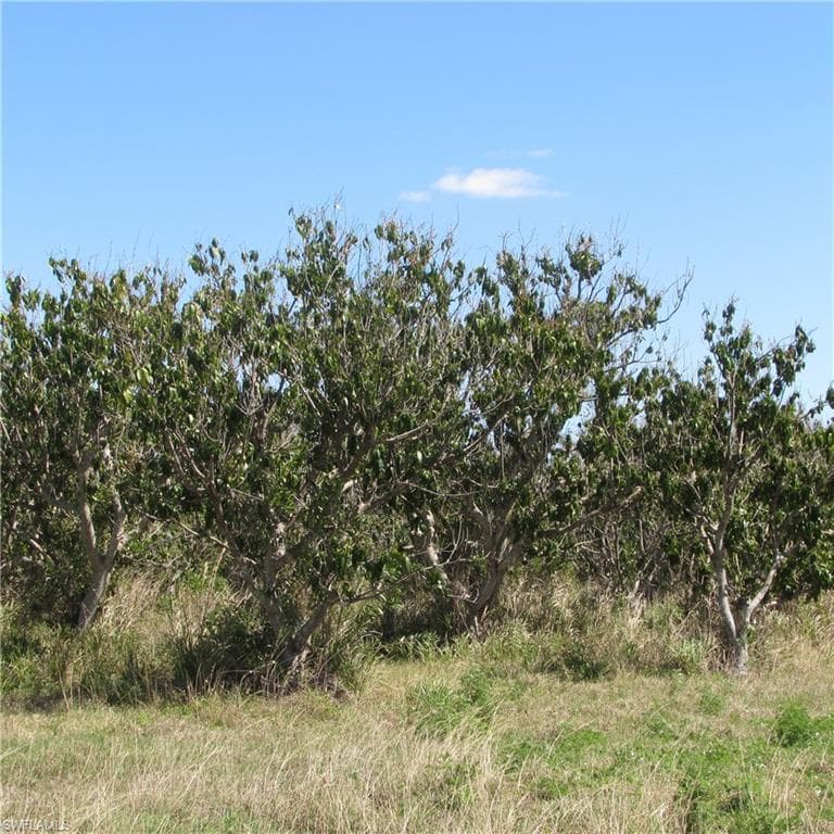 13171 Samadani LN-6