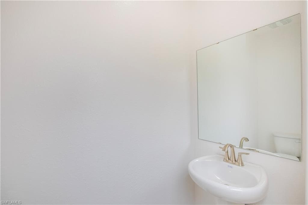 10536 Fountain Palm CIR-8