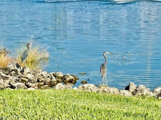 28318 CAPTIVA SHELL LOOP-22