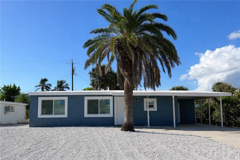 149 Hibiscus DR-1