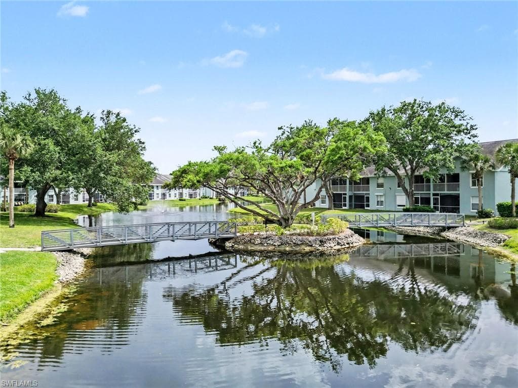 153 Wading Bird CIR J201-33