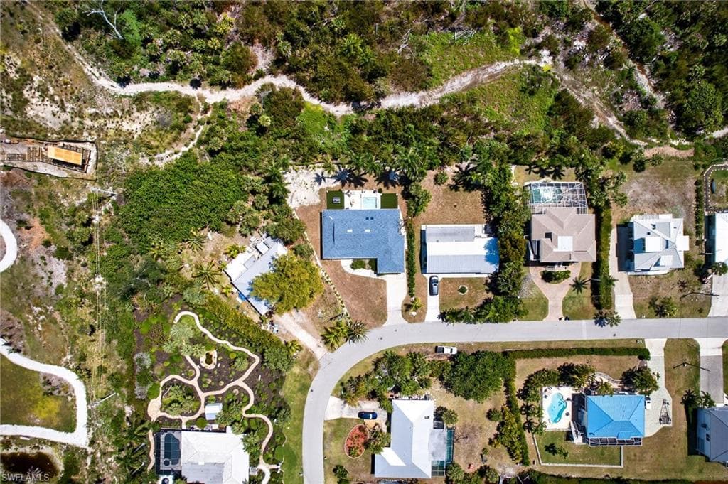 1874 Ibis LN-31