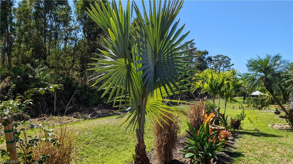 23238 Marsh Landing BLVD-3