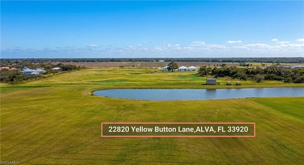 22820 Yellow Button LN-3