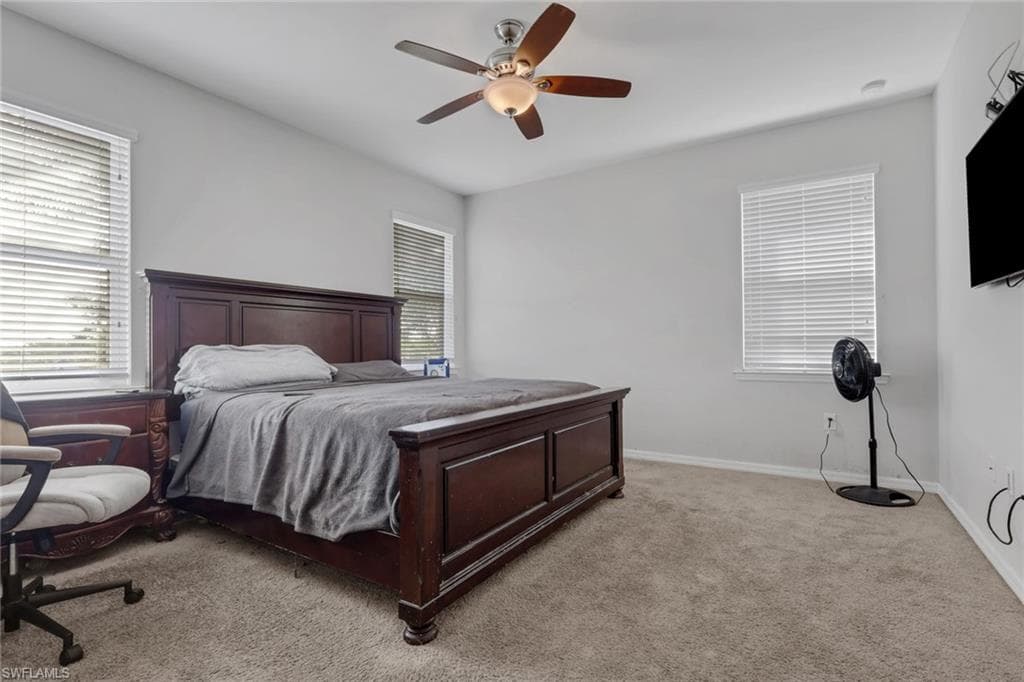 10884 Alvara WAY-17