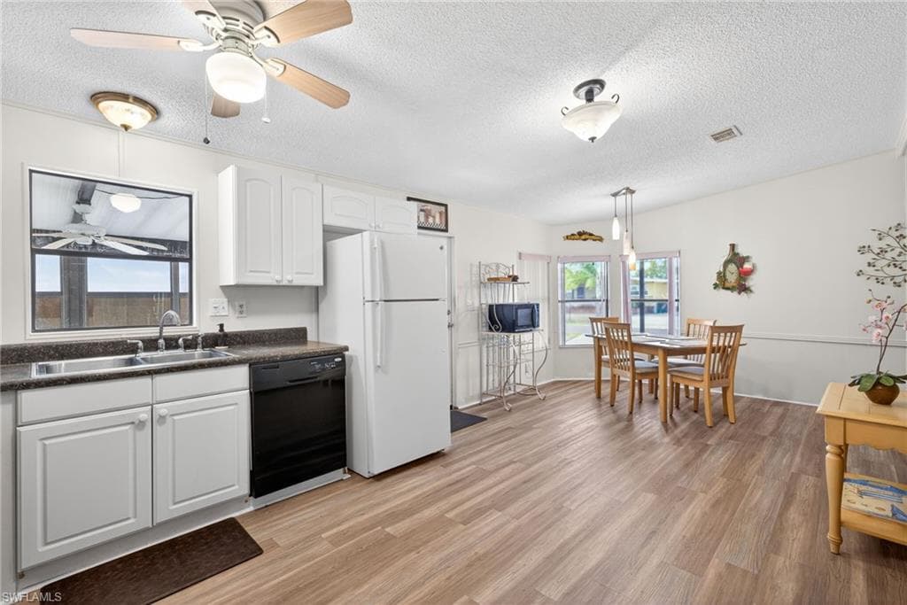 10220 Wales LOOP-10