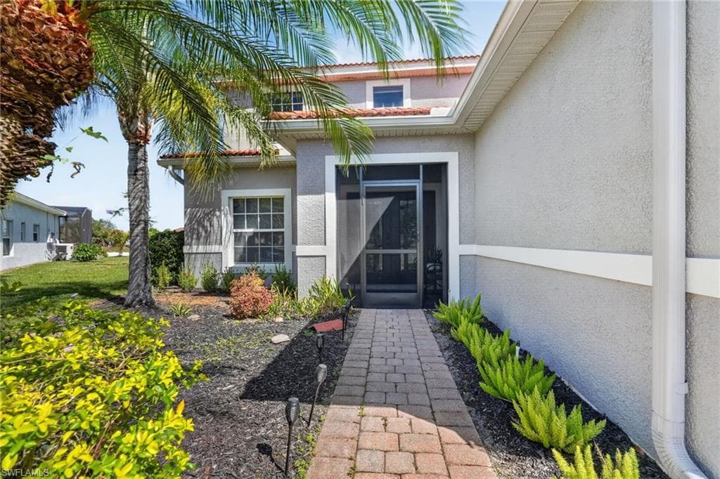 2645 Fishtail Palm CT-2