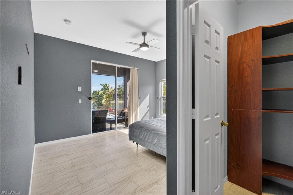 2645 Fishtail Palm CT-13