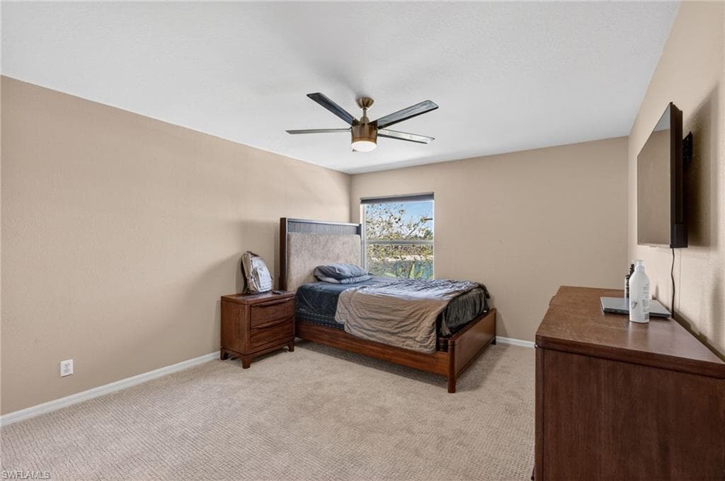 2645 Fishtail Palm CT-22