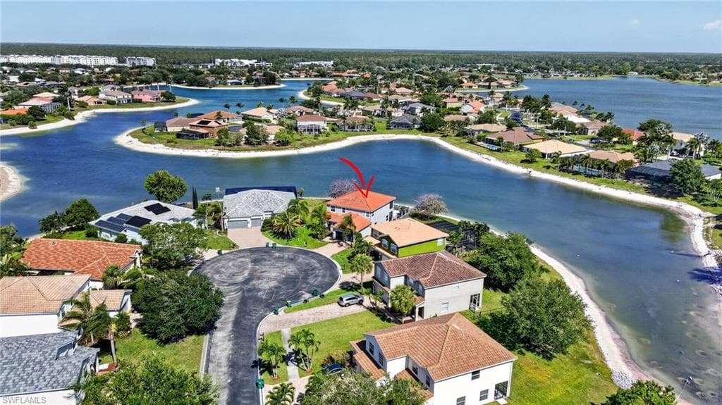 2645 Fishtail Palm CT-36