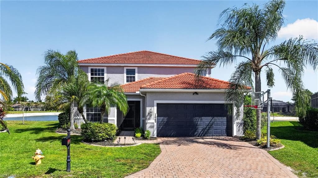2645 Fishtail Palm CT-1