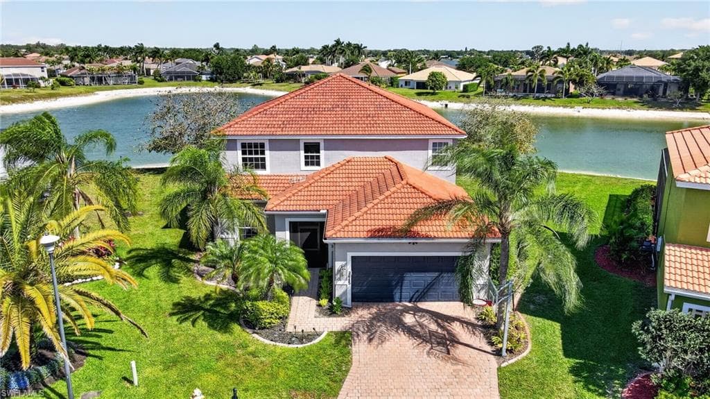 2645 Fishtail Palm CT-34