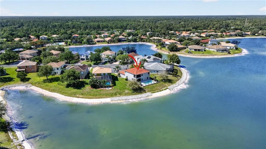 2645 Fishtail Palm CT-38