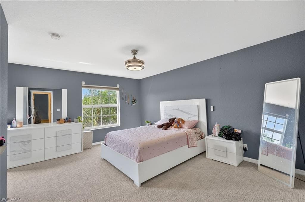 2645 Fishtail Palm CT-18