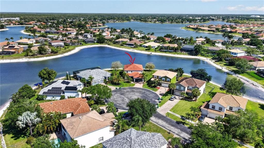 2645 Fishtail Palm CT-37