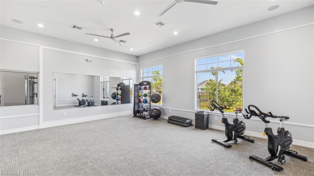 2664 Star Coral DR-22