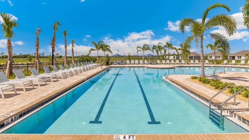 2664 Star Coral DR-33