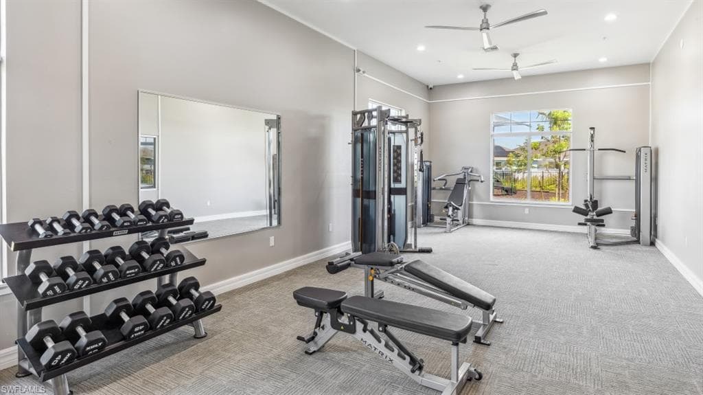 2681 Soft Coral WAY-21