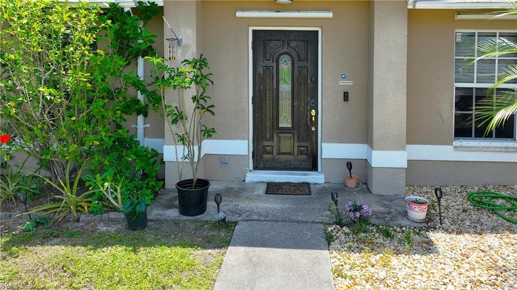 97 Blackstone DR-5