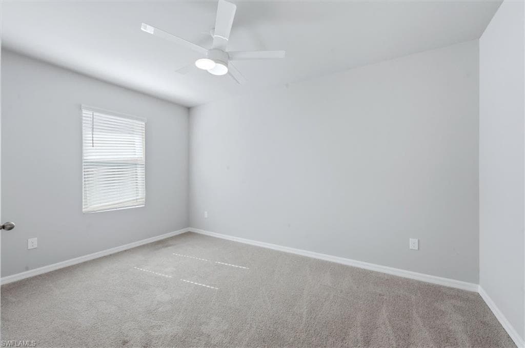 20579 Plumwood LOOP-23