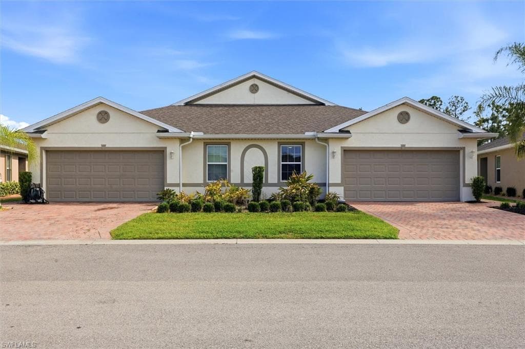20579 Plumwood LOOP-2