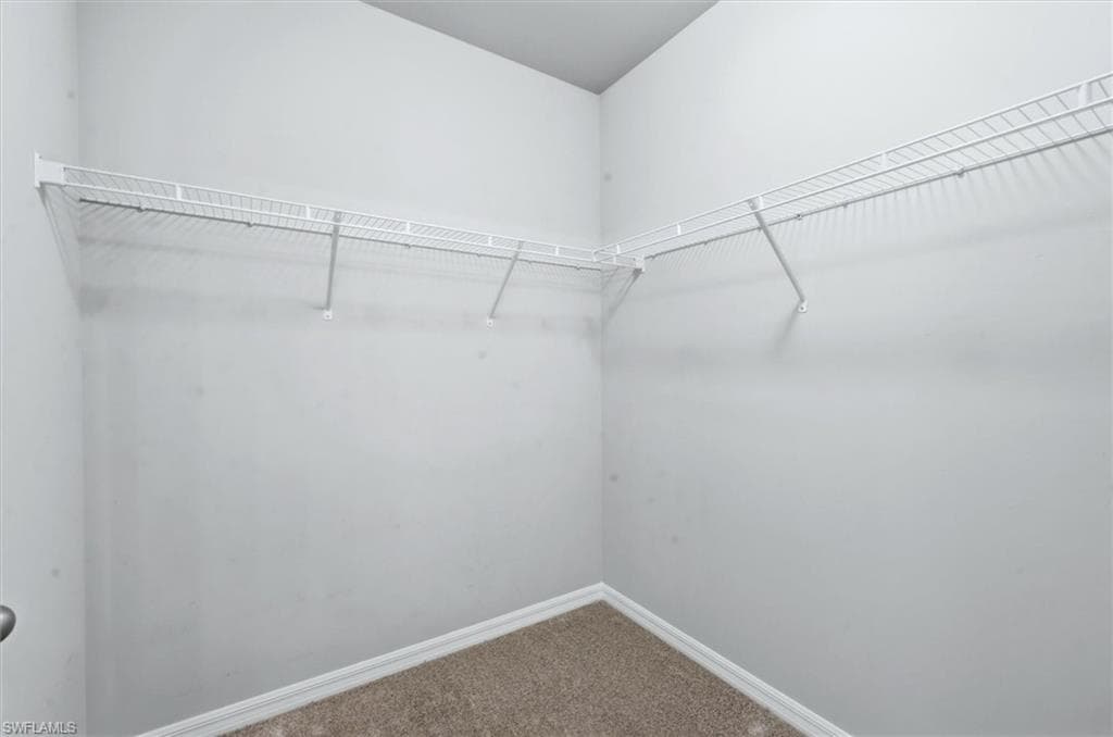 20579 Plumwood LOOP-16
