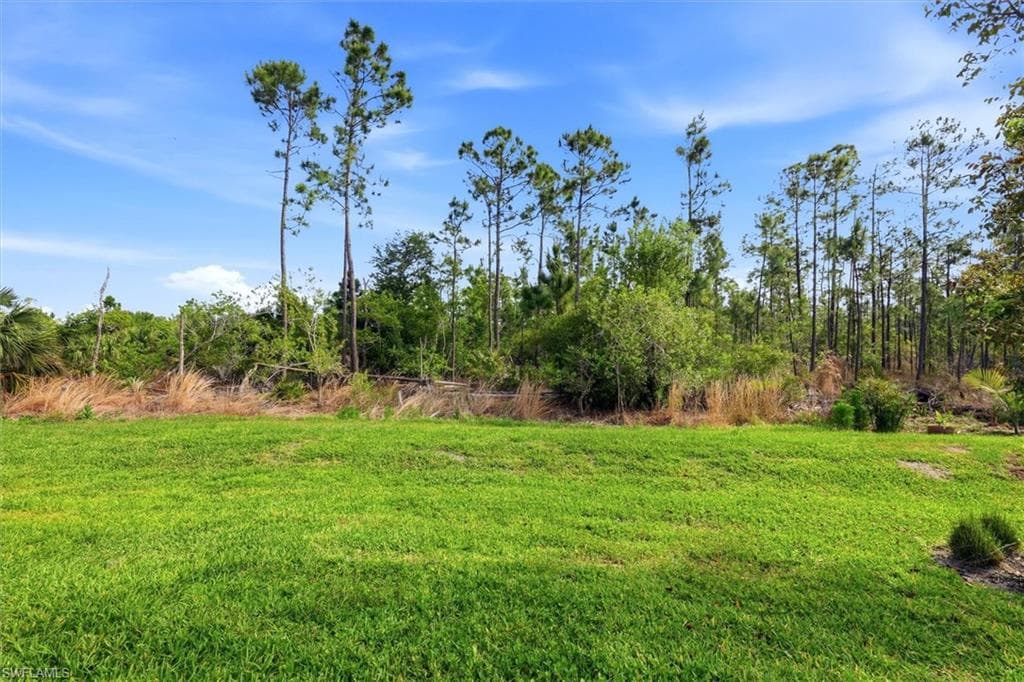 20579 Plumwood LOOP-30