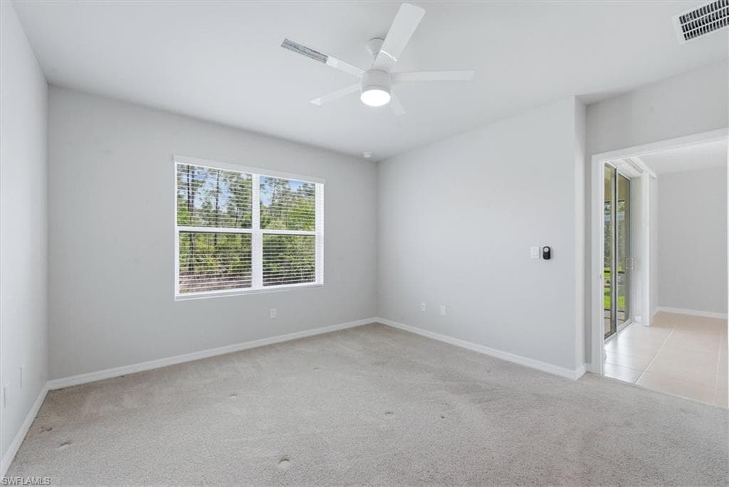 20579 Plumwood LOOP-15