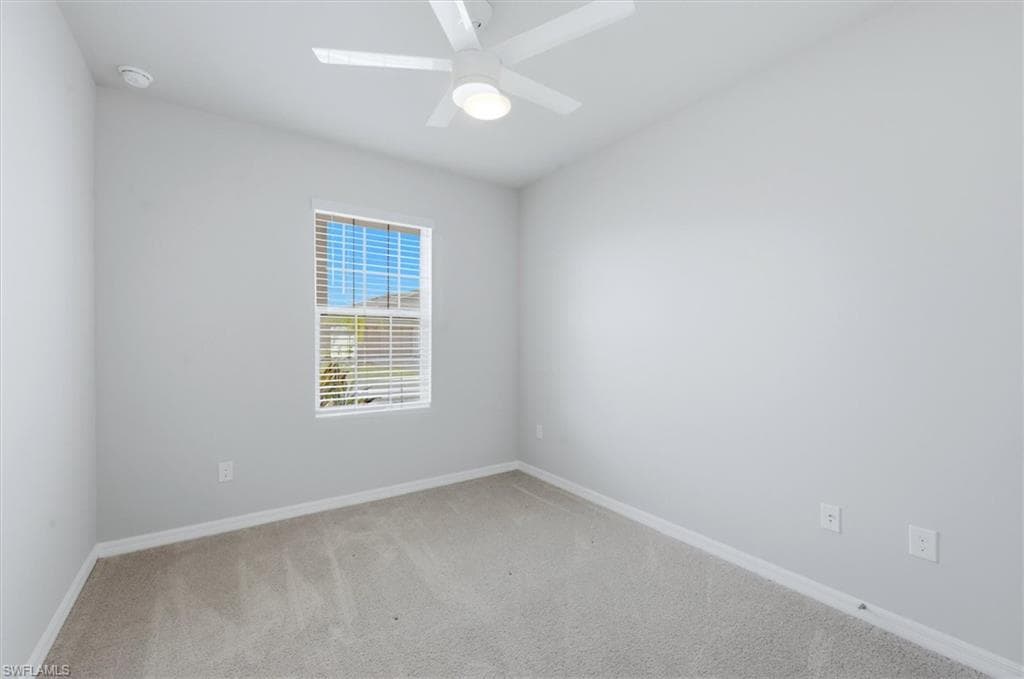 20579 Plumwood LOOP-21