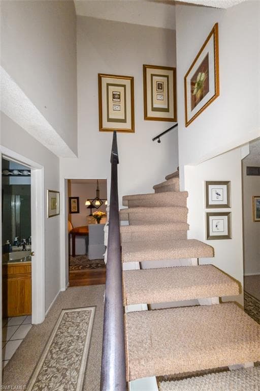 10891 Meadow Lark Cove DR-21